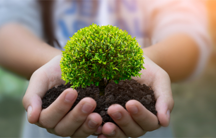 medioambiente medioambiente